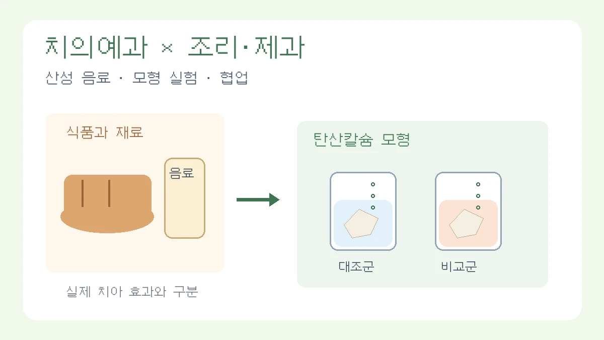 치의예과와 조리·제과 융합 탐구 키워드, 음료와 달걀껍데기 산 반응 모형 및 제과 재료